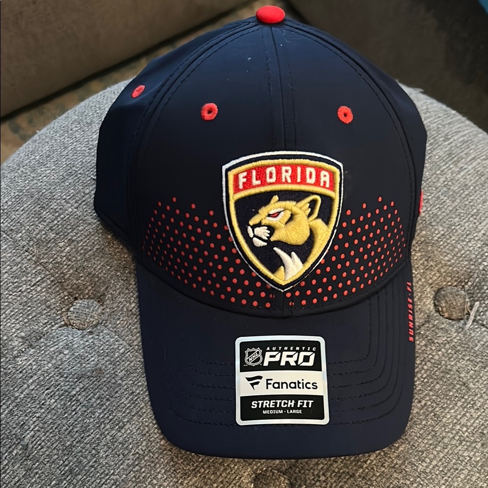 Brand New Florida Panthers Navy Cap